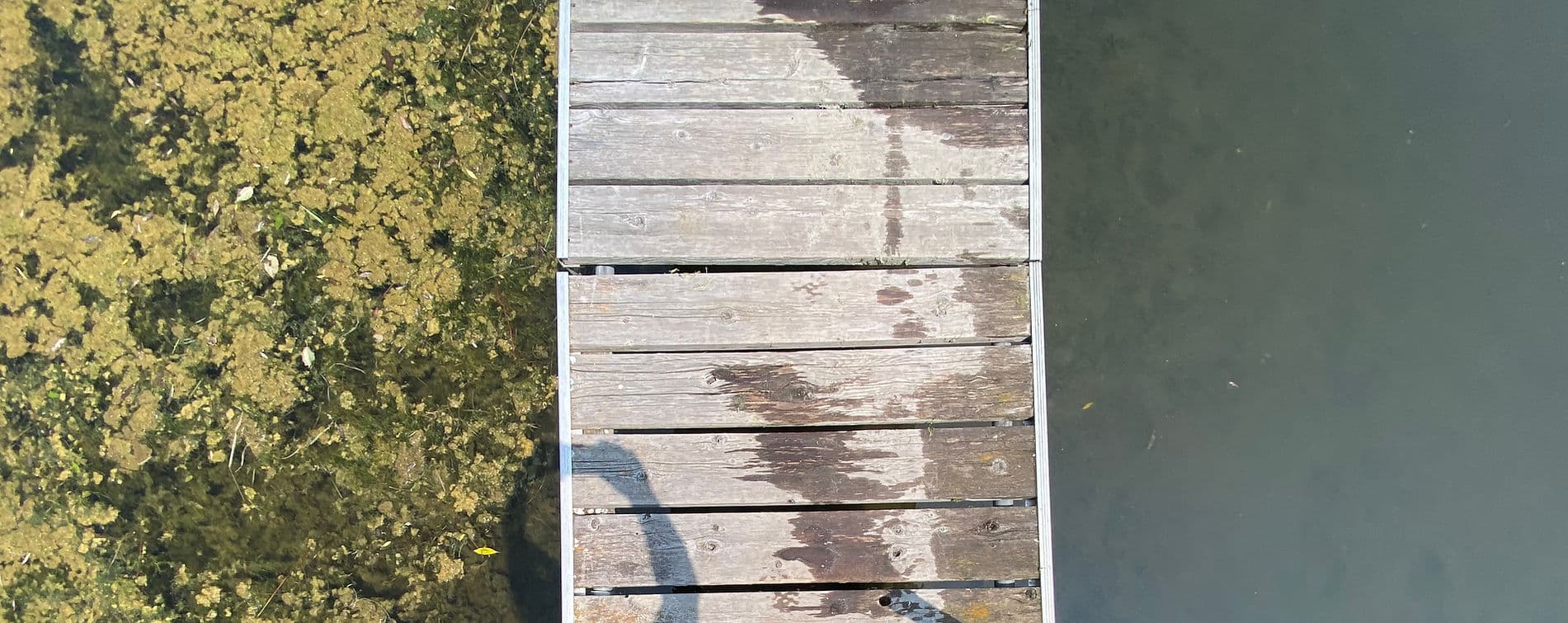 Contact form background